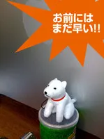 お父さんがやってきた