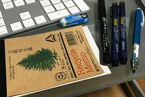 年末特番その２：2017年わ通的印象に残った日記絵